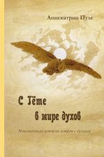 Скачать книгу C Гёте в мире духов автора Аннекатрин Пуле