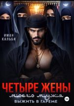 Новая книга Четыре жены моего мужа. Выжить в гареме автора Иман Кальби