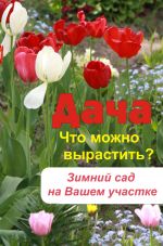Скачать книгу Что можно вырастить? Зимний сад на вашем участке автора Илья Мельников