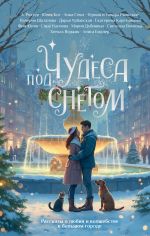 Скачать книгу Чудеса под снегом. Рассказы о любви и волшебстве в большом городе автора Валерия Шаталова