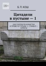 Скачать книгу Цитадели в пустыне – 1. Как я копал в Казахстан и провел в Турции. 1. Стамбул – Алматы автора Б. Кош