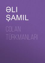 Скачать книгу Colan Türkmanları автора Əli Şamil