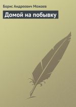 Скачать книгу Домой на побывку автора Борис Можаев