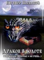 Скачать книгу Дракон в болоте автора Евгений Шалашов