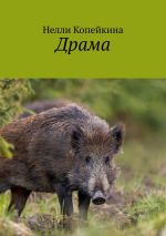 Скачать книгу Драма автора Нелли Копейкина