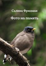 Скачать книгу Фото на память автора Салина Фридман