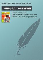 Скачать книгу Генерал Топтыгин автора Николай Некрасов
