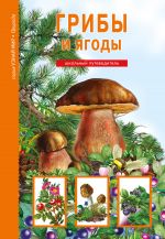 Скачать книгу Грибы и ягоды автора Сергей Афонькин