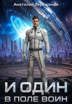 Скачать книгу И один в поле воин автора Анатолий Терешонок