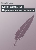 Скачать книгу Косой дождь, или Передислокация пигалицы автора Ольга Кучкина