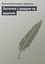 Скачать книгу Ласточка с дождем на крыльях автора Евгений Дубровин