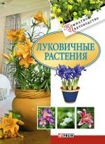 Скачать книгу Луковичные растения автора Татьяна Дорошенко