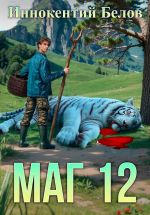 Новая книга Маг 12 автора Иннокентий Белов