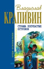 Скачать книгу Мальчик девочку искал... автора Владислав Крапивин