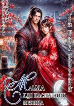 Скачать книгу Мама для наследного принца. Три шанса попаданки автора Екатерина Кариди