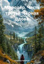Скачать книгу Мародёр. Часть третья. Чёрная Вдова автора Владимир Поселягин
