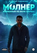 Скачать книгу Молнер. Избранный по воле случая автора Алексей Корнелюк