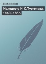 Скачать книгу Молодость И. С. Тургенева. 1840–1856 автора Павел Анненков