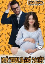 Скачать книгу Мой гениальный залёт автора Ева Ночь