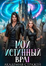 Скачать книгу Мой истинный враг. Академия Стражей. Часть вторая автора Ирина Алексеева