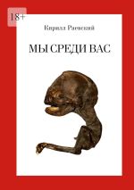 Скачать книгу Мы среди вас автора Кирилл Раевский