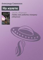 Скачать книгу На излете автора Александр Сивинских