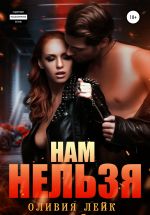 Скачать книгу Нам нельзя автора Оливия Лейк