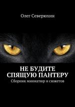 Скачать книгу Не будите спящую пантеру автора Олег Северюхин