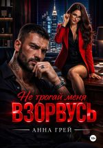 Скачать книгу Не трогай меня Взорвусь автора Анна Грей