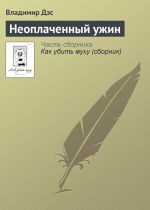 Скачать книгу Неоплаченный ужин автора Владимир Дэс