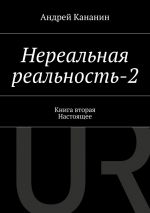 Скачать книгу Нереальная реальность-2 автора Андрей Кананин