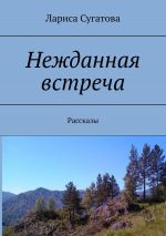 Скачать книгу Нежданная встреча. Сборник рассказов автора Лариса Сугатова