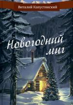 Скачать книгу Новогодний миг автора Виталий Капустянский