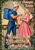 Скачать книгу Новый Год. Доставка до двери автора Ашира Хаан