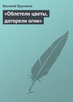 Скачать книгу «Облетели цветы, догорели огни» автора Василий Брусянин