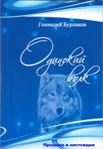 Скачать книгу Одинокий Волк автора Геннадий Бурлаков