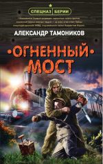 Скачать книгу Огненный мост автора Александр Тамоников