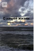 Скачать книгу О нашей жизни автора Алексей Дружакин