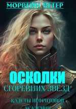 Скачать книгу Осколки сгоревших звёзд. Книга 1. Кадеты Нефритовой Академии автора Морвейн Ветер
