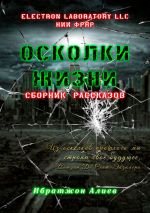 Скачать книгу Осколки жизни. Сборник рассказов автора Ибратжон Алиев