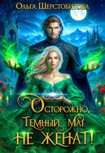 Скачать книгу Осторожно, темный маг не женат! автора Ольга Шерстобитова