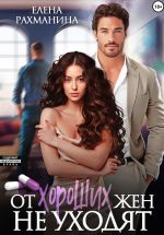 Скачать книгу От хороших жен не уходят автора Елена Рахманина