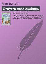 Скачать книгу Отпусти кого любишь автора Иосиф Гольман