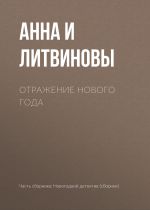 Скачать книгу Отражение Нового года автора Анна и Сергей Литвиновы