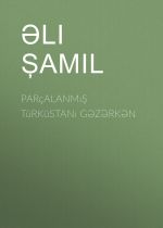 Скачать книгу Parçalanmış Türküstanı gəzərkən автора Əli Şamil