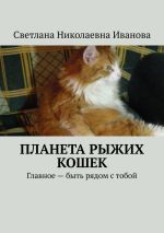 Скачать книгу Планета рыжих кошек. Главное – быть рядом с тобой автора Светлана Иванова