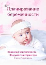 Скачать книгу Планирование беременности. Здоровая беременность – здоровое материнство автора Эльвира Низамтдинова