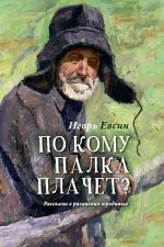 Скачать книгу По кому палка плачет? Рассказы о рязанских юродивых автора Игорь Евсин