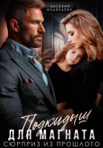 Скачать книгу Подкидыш для Магната. Сюрприз из прошлого автора Евсения Медведева