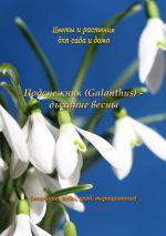 Скачать книгу Подснежник (Galanthus) – дыхание весны автора Федор Кольцов